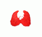 Red Feather Angel Wings (Small)