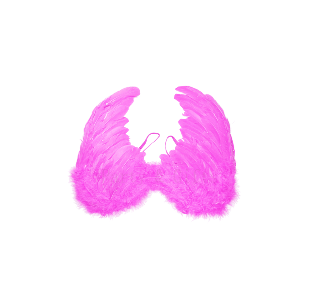 Pink Feather Angel Wings (Small)